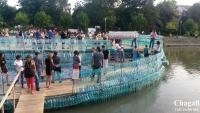 Imagine atasata: 20140724_202453.jpg